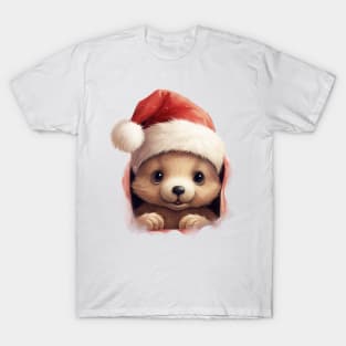 Christmas Peeking Baby Bear T-Shirt